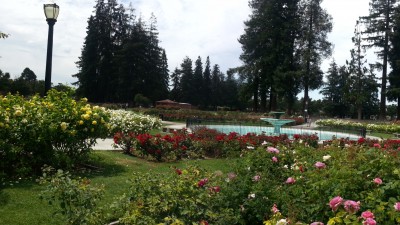 MUNICIPAL ROSE GARDEN