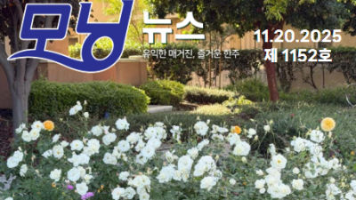 모닝뉴스_2025년 11월 20일