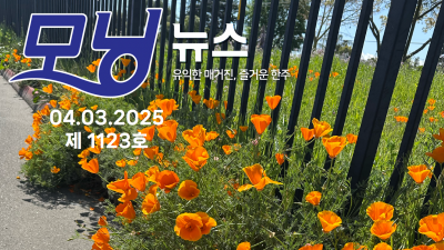 모닝뉴스_2025년 4월 3일
