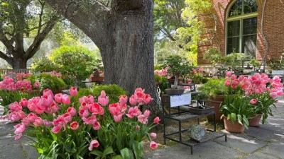 Filoli Historic House and Garden