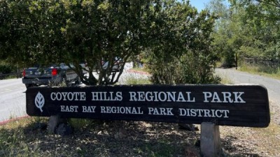 즐거운 걷기 (Coyote Hills Regional Park, Bay View Trail)